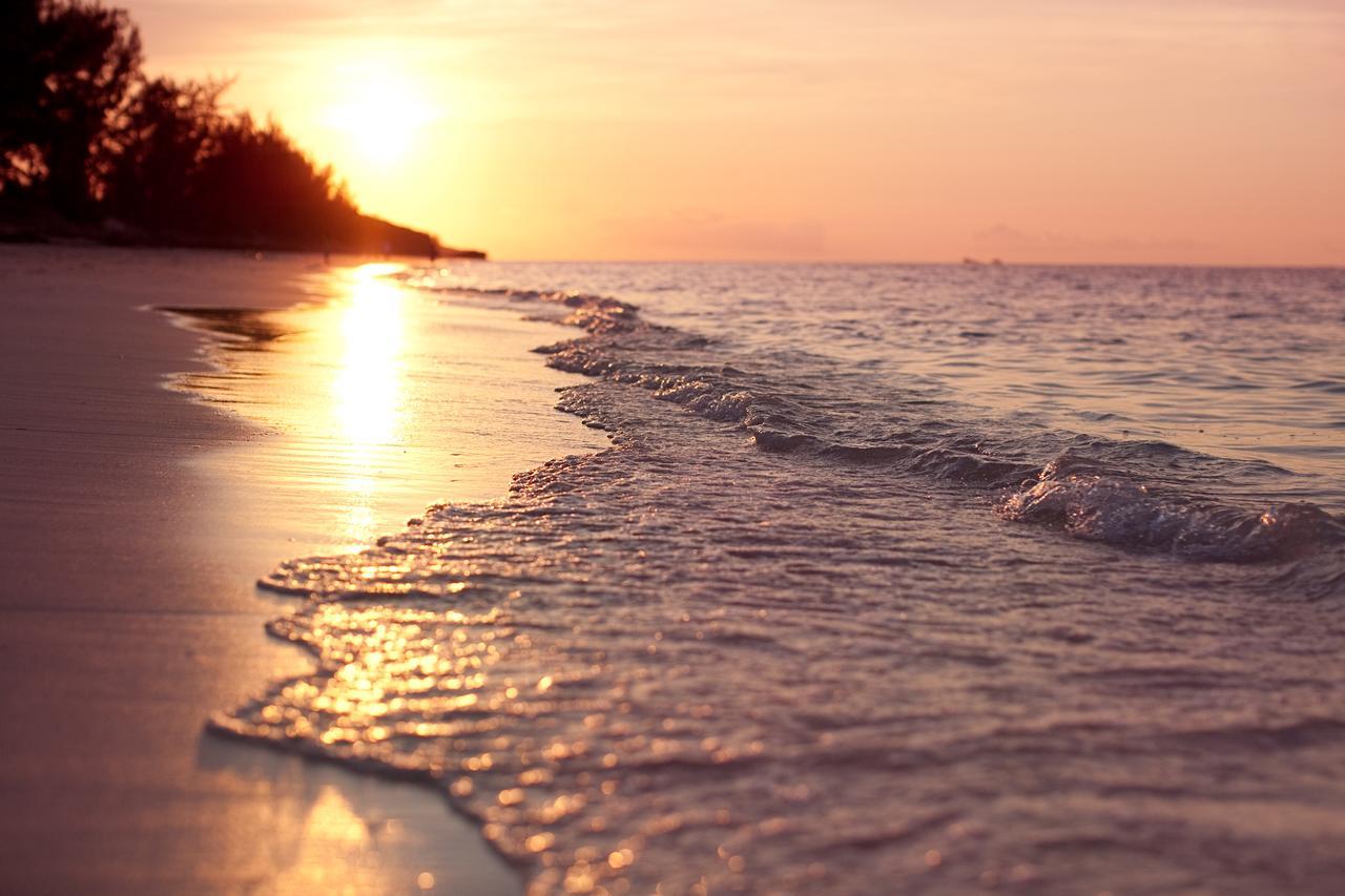Hollywood Beach Suites Turks And Caicos Whitby Ngoại thất bức ảnh