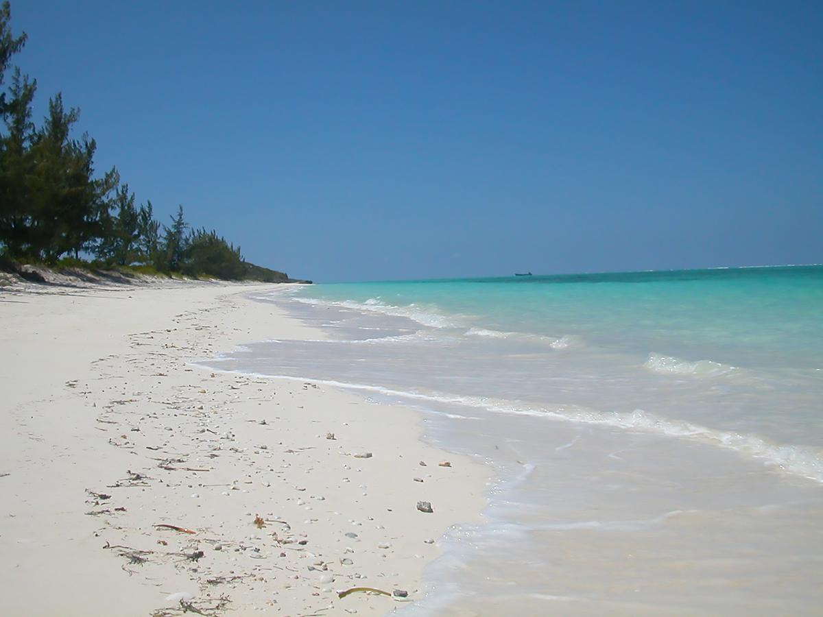 Hollywood Beach Suites Turks And Caicos Whitby Tiện nghi bức ảnh