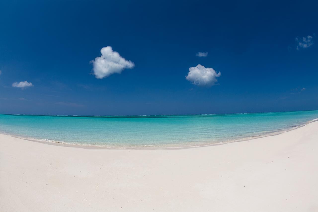 Hollywood Beach Suites Turks And Caicos Whitby Ngoại thất bức ảnh